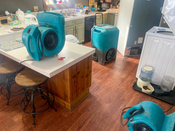 Best Water damage repair service  in Wymore, NE