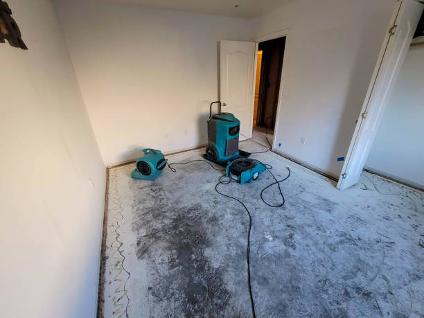 Best 24/7 water damage repair  in Wymore, NE