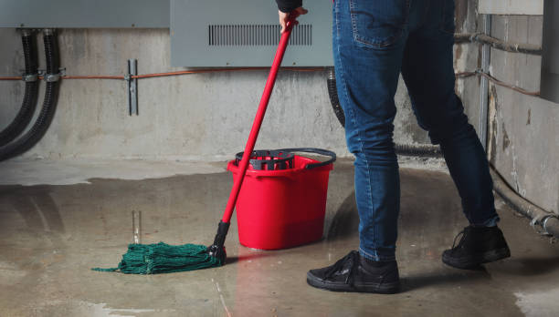 Best Ceiling water damage repair  in Wymore, NE