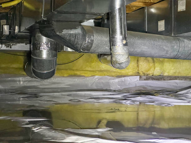 Best Water damage cleanup near me  in Wymore, NE